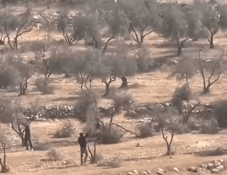 مقطع قطع الأشجار يعود للضفة الغربية وليس السويداء