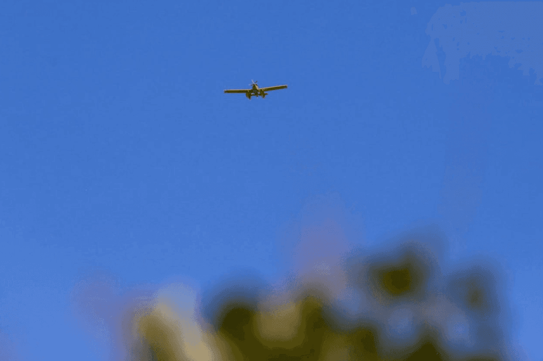 الدعم الجوي لحرائق الساحل السوري تحت مجهر الحقيقة