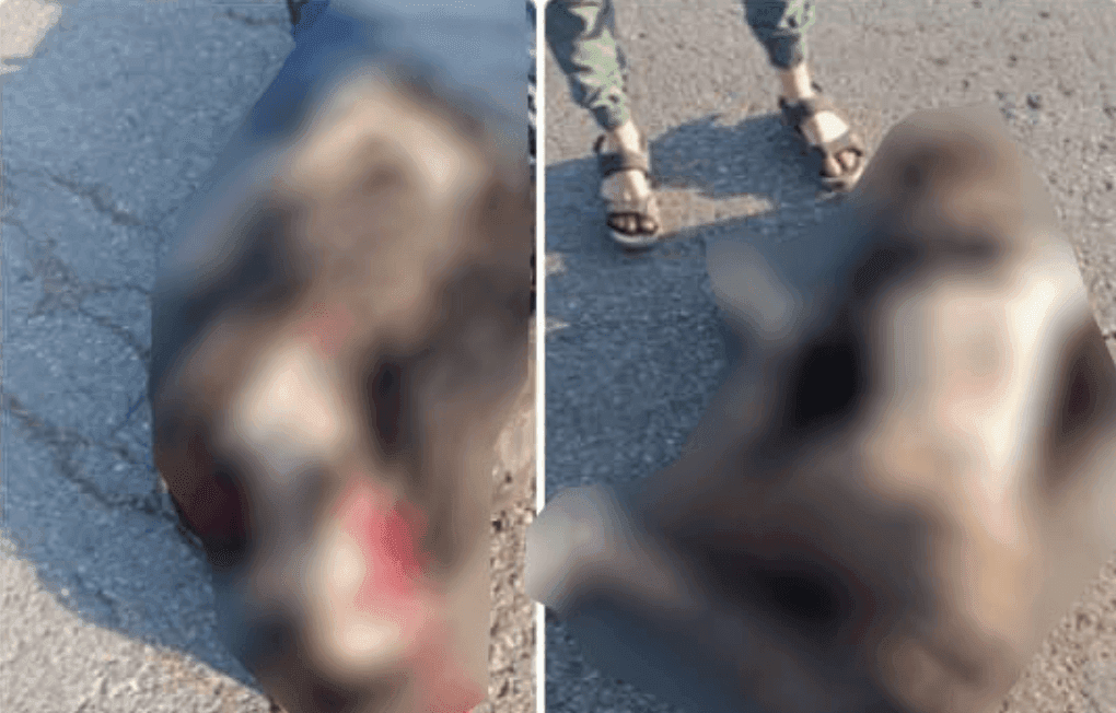 ادعاء كاذب: صور ضحايا حادث مروري في إدلب يُزعم أنها لشاب ذُبح في السويداء