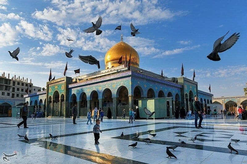 لم يصدر قرار بهدم مقام السيدة زينب في دمشق