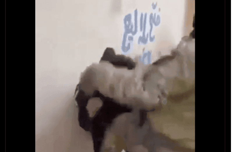 هذا المقطع لا يُظهر إلقاء القبض على أحد مشعلي الحرائق في الساحل السوري