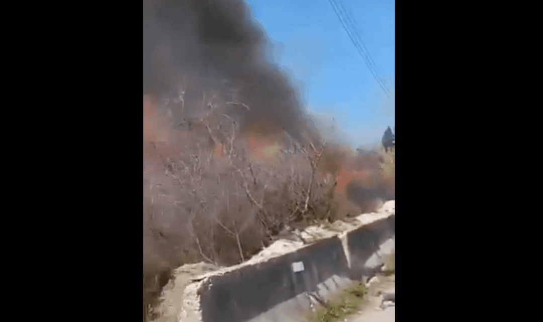 المقطع قديم ولايعود لإحراق عنصر تابع للحكومة الانتقالية أراضٍ في الساحل السوري مؤخراً