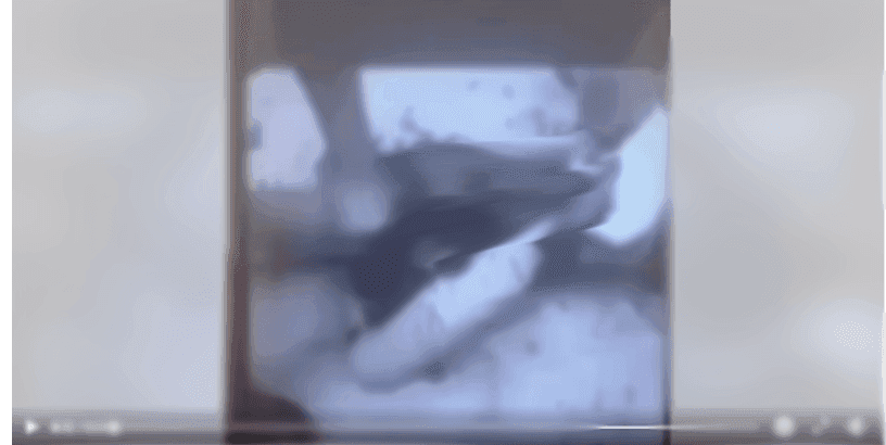 الفيديو ليس لنزع قلب شاب درزي على يد عناصر من السلطة السورية