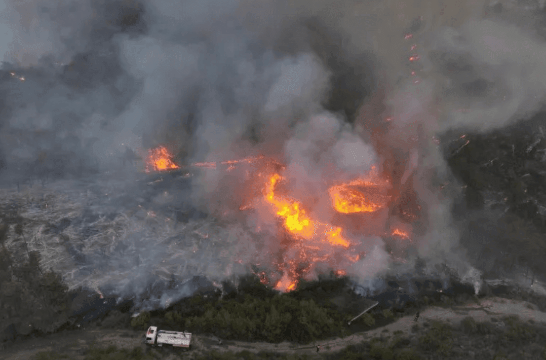حرائق الغابات: كارثة متكررة تتفاقم كل عام وتهدد الغطاء النباتي في سوريا