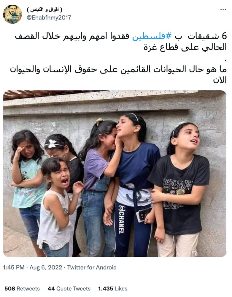 6 شقيقات ب #فلسطين فقدوا امهم وابيهم خلال القصف الحالي على قطاع غزة