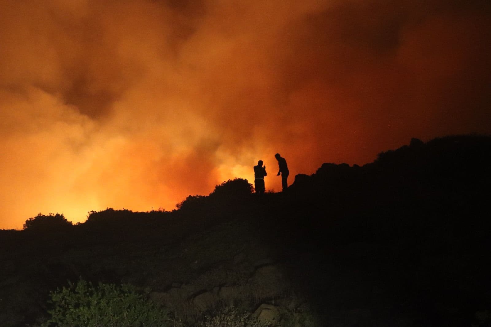 حرائق متواصلة في اللاذقية ومؤشرات "فعل متعمد" دون أدلة قاطعة