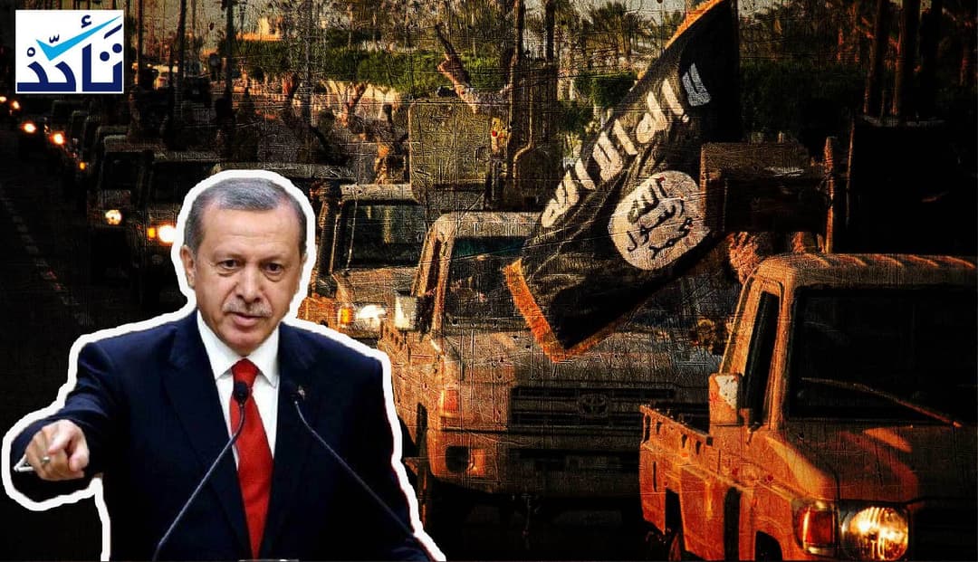 هل اعترف أردوغان بنقل عناصر "داعش" من الرقة إلى مصر؟