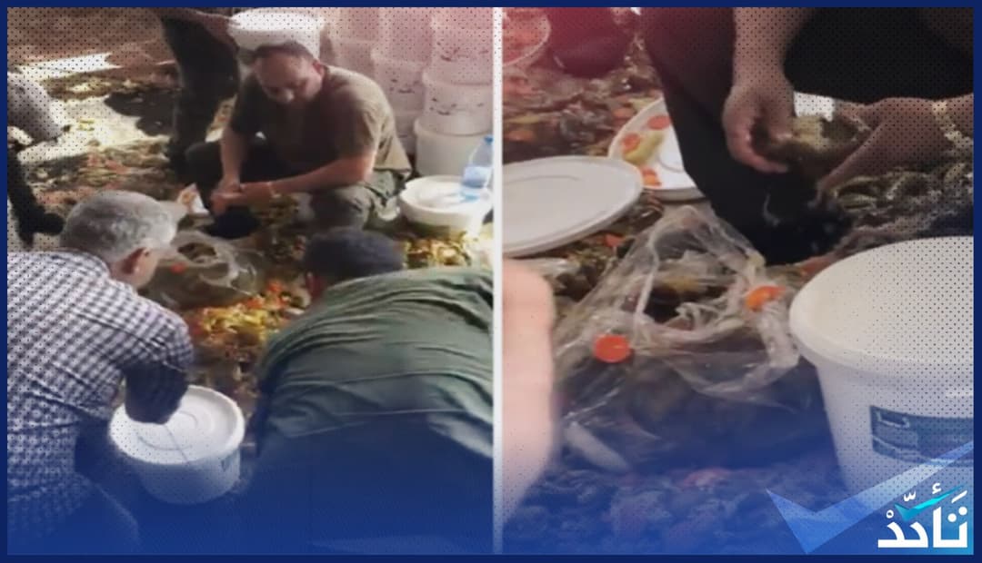 هل ضبطت المخابرات اللبنانية شحنة كوكايين محشو داخل المكدوس مؤخراً؟