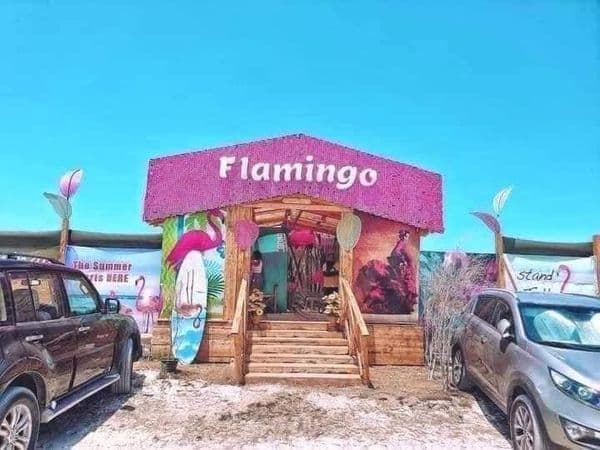 ما حقيقة وجود شاطئ في طرطوس يسمى "فلامينغو" مخصص للبنات فقط؟