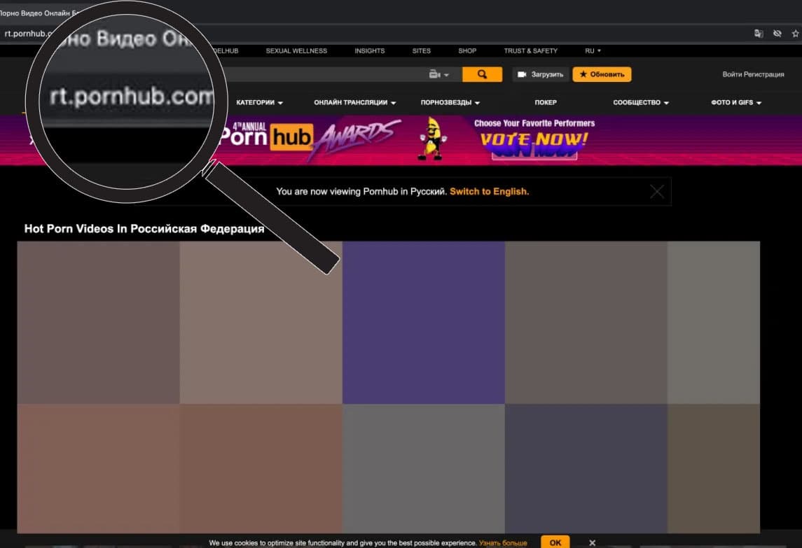 هل حُظرت روسيا من الولوج إلى المواقع الإباحية بعد غزوها لأوكرانيا؟