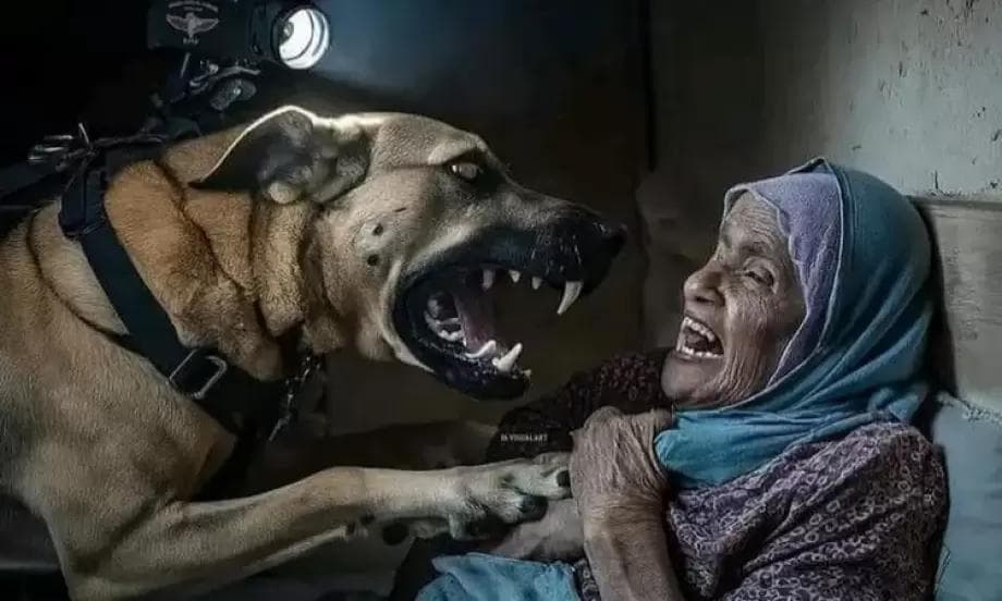 هل تُظهر هذه الصورة لحظة هجوم كلب "إسرائيلي" على سيدة فلسطينيّة؟