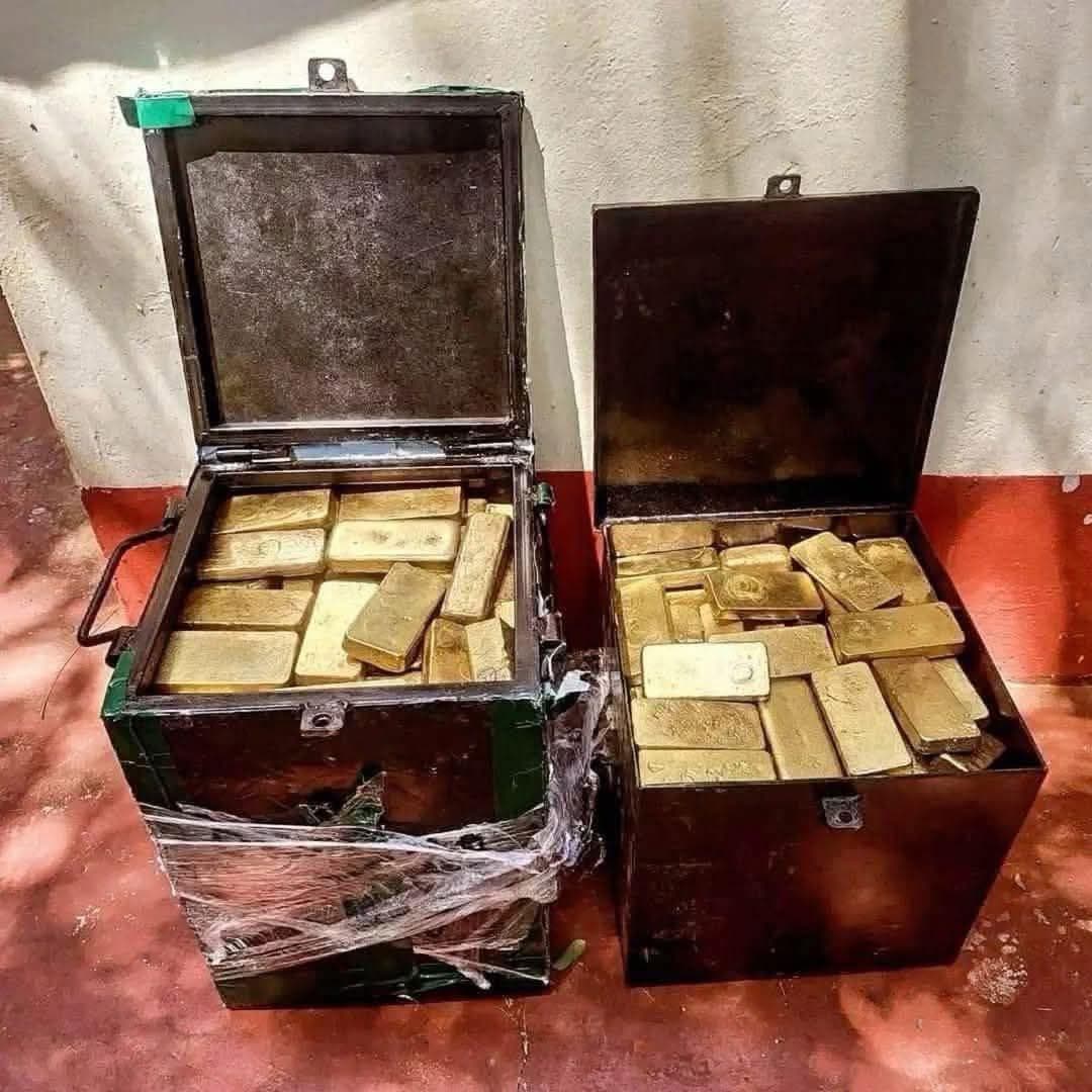 ما حقيقة العثور على ذهب مدفون داخل حديقة قصر يملكه وسـيم الأسد؟