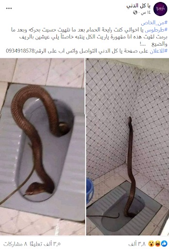 "ثعبان ضخم يخرج بشكل مفاجئ من أحد الحمامات في طرطوس" | كذب 