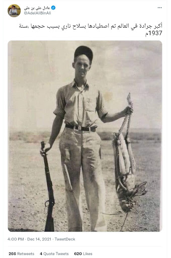صورة تظهر اصطياد أكبر جرادة في العالم | ادعاء مضلل 